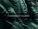 水木组合好寓意的字(沾水沾木的字)