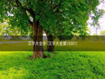 汉字大全字(汉字大全第15001)