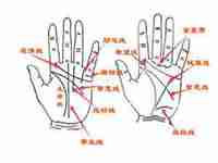 手掌纹路图解男性(男人右手手掌纹路图解)