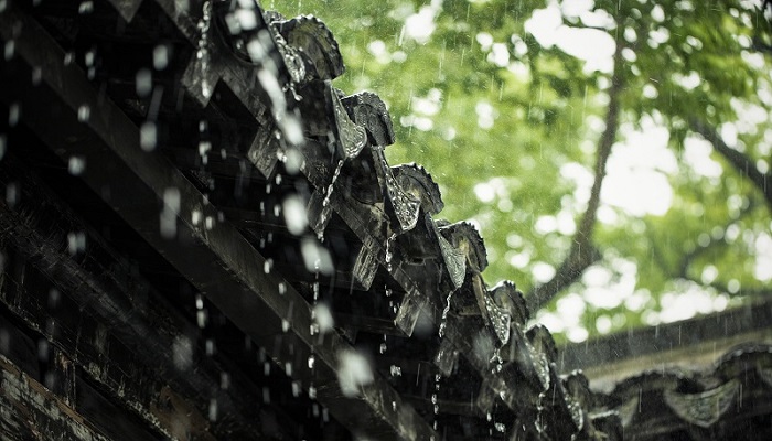 梦见倾盆大雨预示着什么(梦见倾盆大雨预示着什么意思)