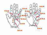 手掌纹路图解男性右手(手掌纹路图解男性)