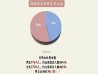 上完大学还是处的比例(大学毕业还是处的多吗)