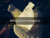 劳动节休息几天?2023(劳动节休息几天)