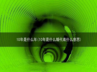 10年是什么年(10年是什么婚代表什么意思)