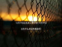 12月19日出生的人很可怕(12月19日出生什么命运性格如何)