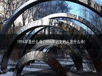 1996年是什么命(1996年出生的人是什么命)