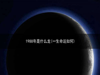 1988年是什么龙(一生命运如何)