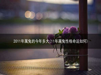 2011年属兔的今年多大(11年属兔性格命运如何)