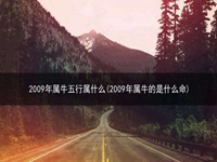 2009年属牛五行属什么(2009年属牛的是什么命)