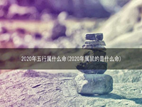 2020年五行属什么命(2020年属鼠的是什么命)