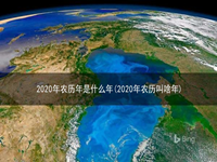 2020年农历年是什么年(2020年农历叫啥年)