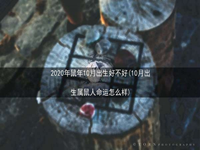 2020年鼠年10月出生好不好(10月出生属鼠人命运怎么样)