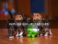 孕妇梦见黑猫(怀孕的人梦见黑猫是什么意思)